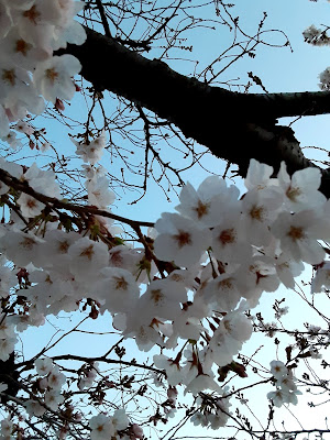 Souemon Park 사진 3