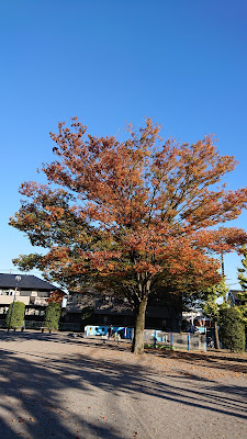 Neginohashi Park 사진 4
