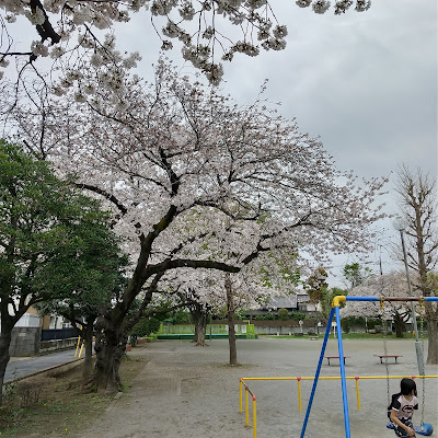 Hatakenaka Park 사진 3