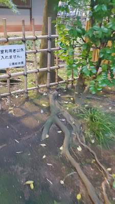 不言亭 사진 4
