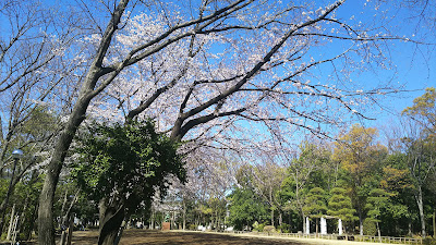 Ushiroya Park 사진 3