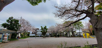 Shintaguchi Park 사진 4