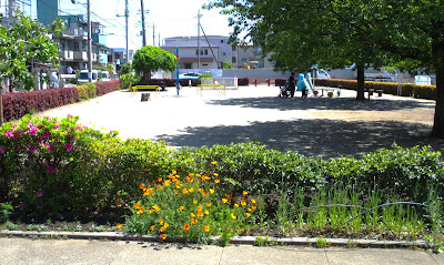Donguri Park 사진 5