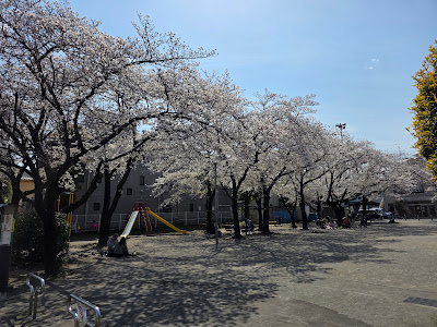 Motowarabi Daini Park 사진 3