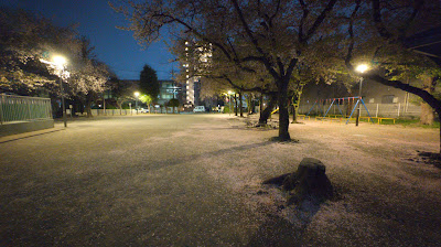 Motowarabi Daini Park 사진 5