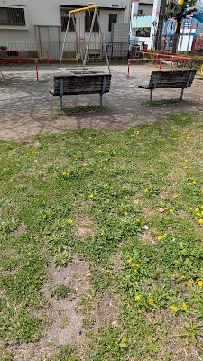 Araimae Park 사진 3
