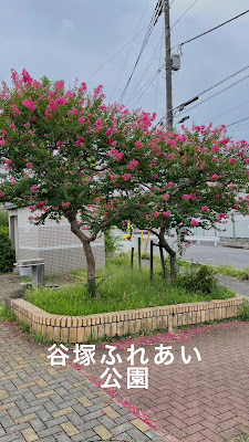 Yatsukafureai Park 사진 2