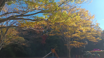 Uenodai Park 사진 2