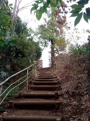 Uenodai Park 사진 5