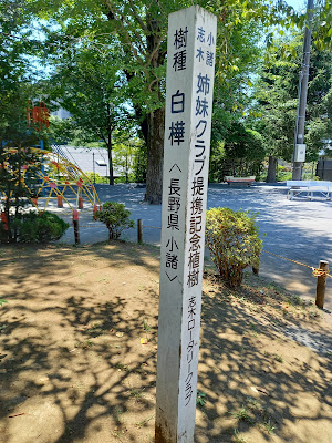 Chokurokotsu Park 사진 3