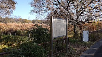 絶滅危惧種トダスゲ里帰りの地 사진 2