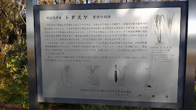 絶滅危惧種トダスゲ里帰りの地 사진 4