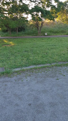 Saiko Dōman Green Park Playground 사진 5