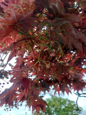 Omose Park 사진 4
