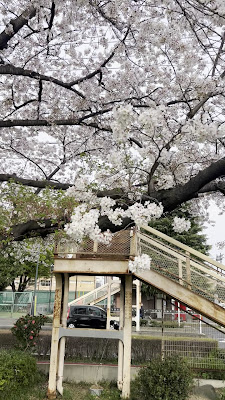 Namiki 4-chome Park 사진 2