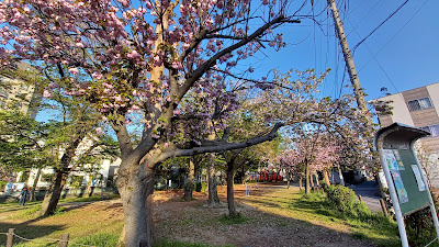 Chohariinari Park 사진 3