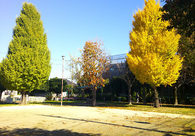 Hosonuma Park 사진 3