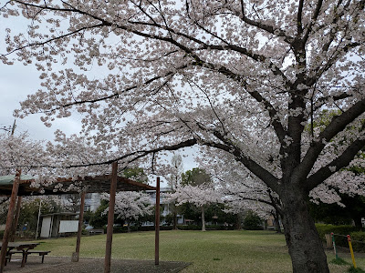 Obuchi Park 사진 3