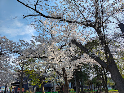 Yashio Central Park 사진 4