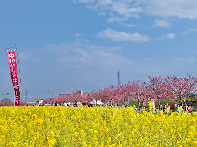 Nakagawa Yashio Flower Park 사진 3