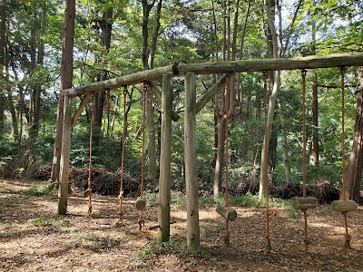 Seki-san Forest 사진 4
