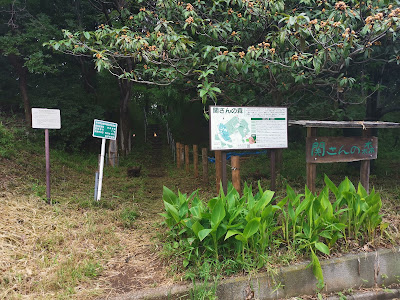 Seki-san Forest 사진 3