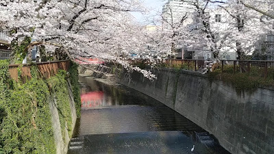 Naka Bridge 사진 2