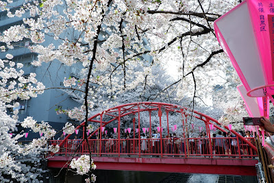 Naka Bridge 사진 4