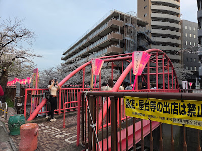 Naka Bridge 사진 3