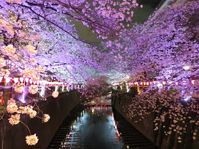 Naka Bridge 사진 5