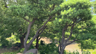 미카사 산 사진 2