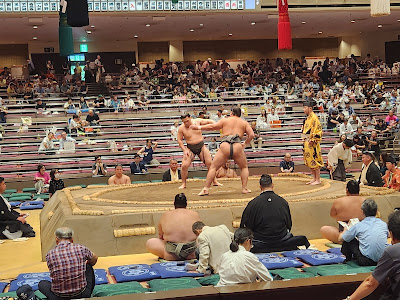 Sumo Everyday | Authentic Sumo Experience Tokyo 사진 4