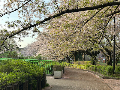 소시가야 공원 사진 3