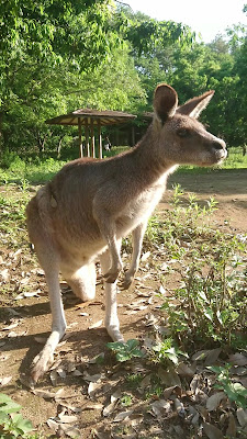 花やしき 笑運閣門 사진 2