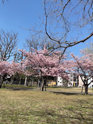 시노자키 공원 사진 2