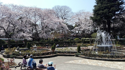 Satomi Park 사진 3