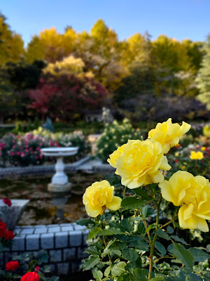 Satomi Park 사진 5