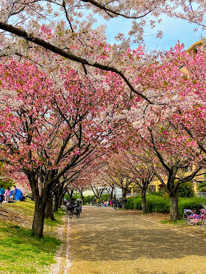 교센 공원 사진 5