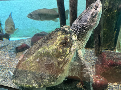 Aquatic Life House 사진 4