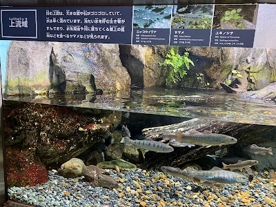 Aquatic Life House 사진 3