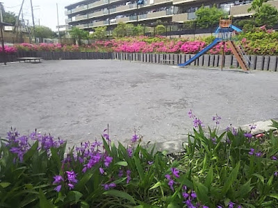 Yumemifureai Park 사진 2
