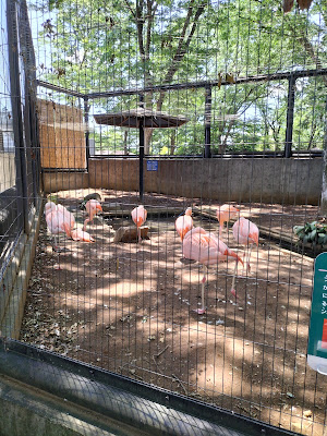 Yumemigasaki Zoological Park Children's Playground 사진 3