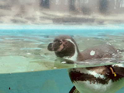 Yumemigasaki Zoological Park Children's Playground 사진 5