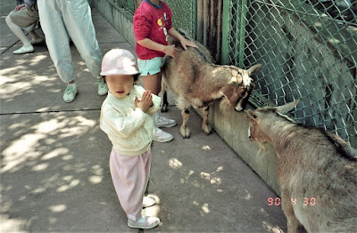 Children’s Animal Plaza, Himon-ya Park 사진 3