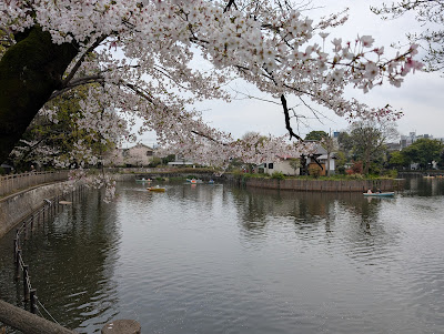 Children’s Animal Plaza, Himon-ya Park 사진 2