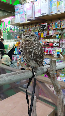 Zoo Ebisu 사진 2