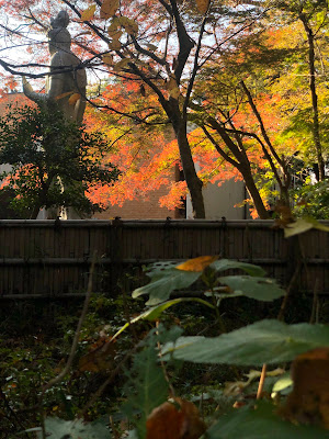 Wildlife Encounter Field 사진 3