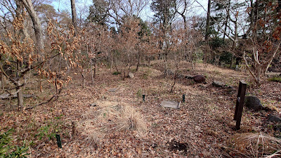 Wildlife Encounter Field 사진 4