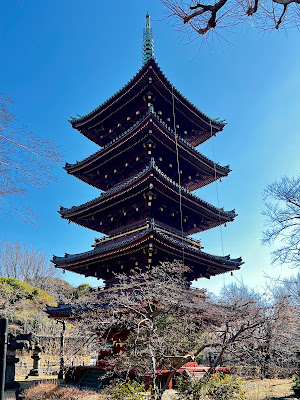 우에노 동물원 사진 3