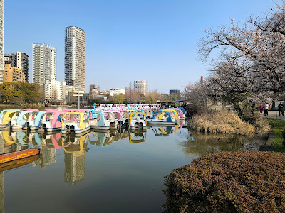 우에노 공원 보트장 사진 3